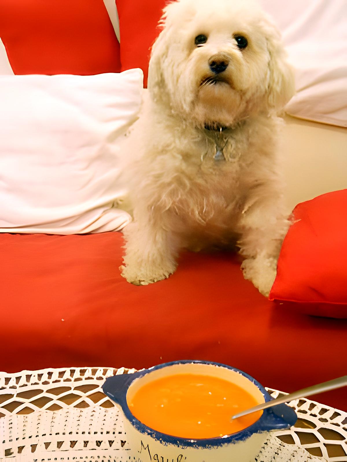 recette POTAGE CAROTTE-ORANGE