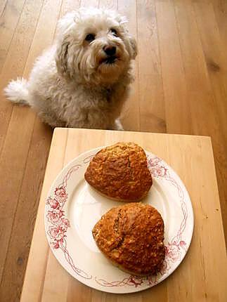 recette PETITS BISCUITS AUX POMMES DE CREMINA