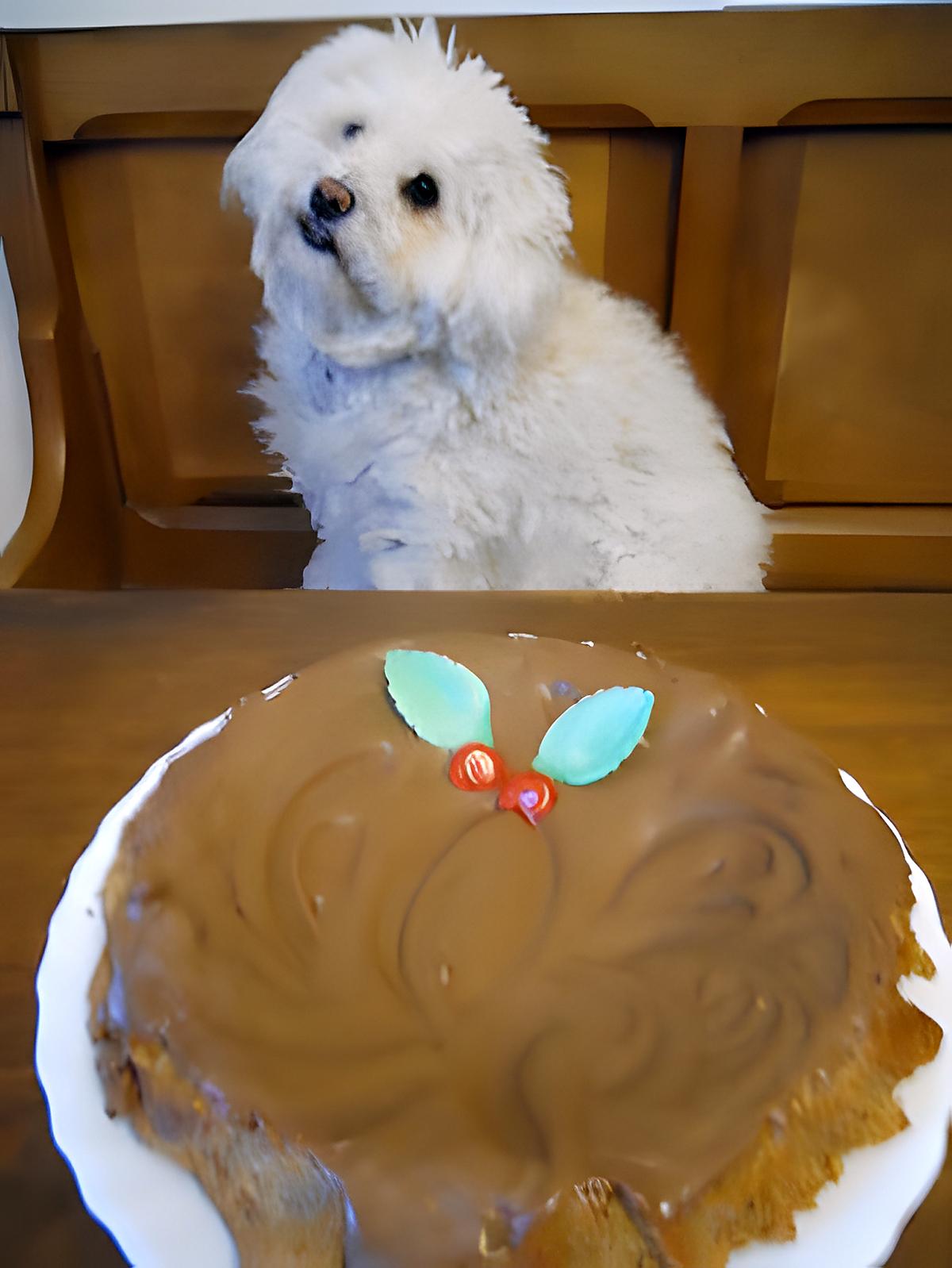 recette GÂTEAU D'ANDRE H.