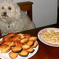 recette PREMIÈRES MADELEINES DE MIRABELLE 54