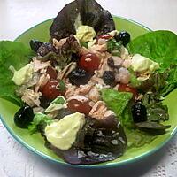 recette Plat garni, au saumon, crevettes, olives, fromage, basilic. mayonnaise.