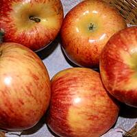 recette Les bienfaits des pommes