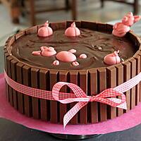 recette gateau: Bain de boue pour les cochons