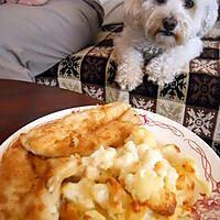 recette FILET DE CARRELET ET GRATIN DE CHOUX FLEURS