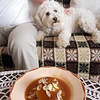 recette POMMES AU SIROP DE LIEGE, EN HOMMAGE A CAMPANULE, TITE MOI , KAND'S ET TOUS LES BELGES