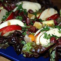recette Salade de gésiers confits avec sa pomme et sa mangue au vinaigre balsamique aromatisé à l'écorce d'orange amère