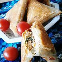 recette Bourek/Bricks Aux Saumon Poireau