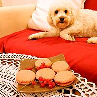 recette MACARONS A LA FRAMBOISE