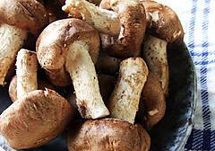 champignons