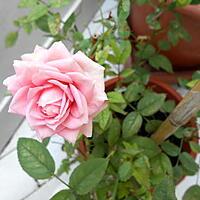 recette ERREUR DE  PHOTO