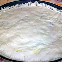 recette pâte à tarte levée