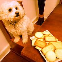 recette PETITS BISCUITS "MAISON"