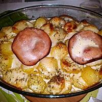 recette Gratin de pomme de terre au Tome de chêvre