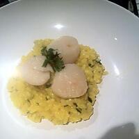 recette Risotto aux Noix de Saint-Jacques