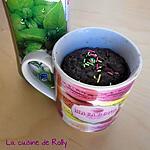 recette Mug cake chocolat menthe