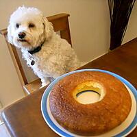 recette MON PREMIER BABA AU RHUM !