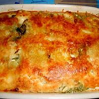 recette FINOCCHI  GRATINATI  (FENOUIL GRATINE)