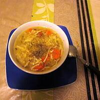 recette soupe asiatiquedu blog aux plaisirs gourmands de joyce