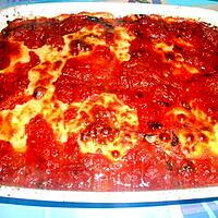 recette MELANZANE  ALLA  PARMIGIANA  (AUBERGINES A LA PARMIGIANA)