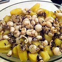 recette Poulpes, calamars à la plancha