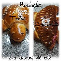 recette Brioche tortue et crocodile