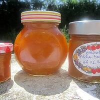 recette Confiture abricots. pêches. brugnons.