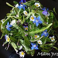 recette Salade champêtre