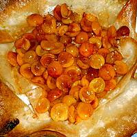 recette Tarte croustillante aux mirabelles