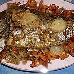 recette Dorade aux girolles