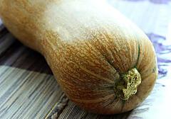 courge butternut