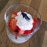 recette verrine pana cotta choco-blanc coco et sa salade de fraises