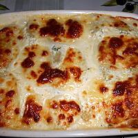 recette CANNELLONI RICOTTA BLETTE GRATINES