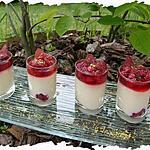 recette Ooo Verrines coco & fruits rouges ooO