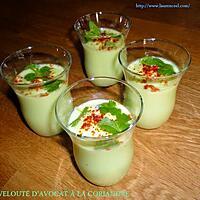 recette VELOUTÉ D’AVOCAT À LA CORIANDRE