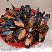 recette Moules crues