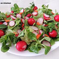 recette Salade de radis