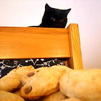 recette PETITS PAINS AUX RAISINS OU AU CHOCOLAT MINUTE