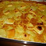 recette gratin de pommes de terre,protéines