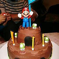 recette Gâteau à Thème Château De Mario Bros