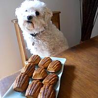 recette Madeleines à la violette