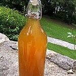 recette Sirop de réglisse