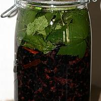 recette Liqueur de Cassis