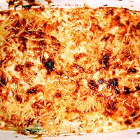 recette LASAGNE VERTE A LA BROUSSE