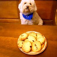 recette COOKIES AUX CRANBERRYS DE "NOTRE AMOUR DE CUISINE ET DE OH LA GOURMANDE"