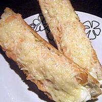 recette mes petites tartines plaisir au saumon