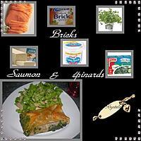 recette bricks saumon & épinards