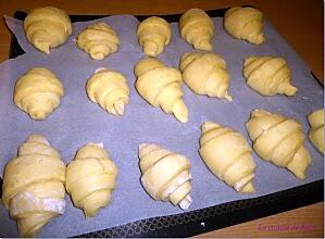 Croissants cru