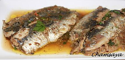 Sardines-mariees-au-citron-confit-et-graines-de-fe-copie-3