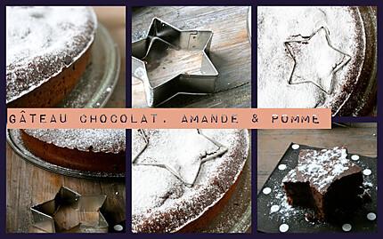 Gâteau moelleux fondant chocolat Amandes & pommes sans beu