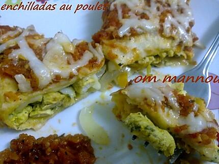 enchiladas au poulet.2